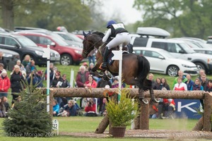 Alice Naber-Loseman riding ACSI Harry Belafonte at the KBIS Bridge - Badminton Horse Trials 2017