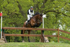 Ingrid Kilmke riding Horseware Hale Bob at the PHEV Corral - Badminton Horse Trials 2017