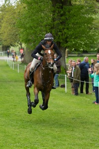 Sir Mark Todd riding NZB Campino - Badminton Horse Trials 2017