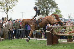 Andrew Nicholson riding Nereo at the Rolex Trunk - Badminton Horse Trials 2017