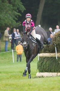 Emma Hyslop-Webb riding PENNLANDS DOUGLAS at the Kent &amp; Masters Brush Corners in the CCI3* Event at the 2015 Blenheim Palace International Horse Trials