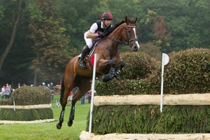 Kevin McNab riding DUSTMAN at the Kent &amp; Masters Brush Corners in the CCI3* Event at the 2015 Blenheim Palace International Horse Trials