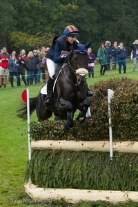 Elisabeth Halliday-Sharp riding FERNHILL BY NIGHT at the Kent &amp; Masters Brush Corners in the CCI3* Event at the 2015 Blenheim Palace International Horse Trials