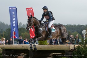 Harry Dzenis riding ABOVE BOARD at the John Sankey Chairs &amp; Table in the CCI3* Event at the 2015 Blenheim Palace International Horse Trials