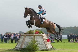 Dani Evans riding RAPHAEL II at the Silk &amp; Stem Flower Pots in the CCI3* Event at the 2015 Blenheim Palace International Horse Trials