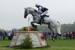 Julie Tew riding LORD OF THE OWLS at the Silk &amp; Stem Flower Pots in the CCI3* Event at the 2015 Blenheim Palace International Horse Trials