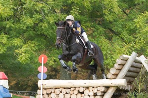 Amy Martin riding SPARKYS REFLECTION at the Watson Fuel Log Pile in the CCI3* Event at the 2015 Blenheim Palace International Horse Trials