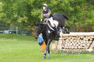 Amy Martin riding SPARKYS REFLECTION at the Watson Fuel Log Pile in the CCI3* Event at the 2015 Blenheim Palace International Horse Trials