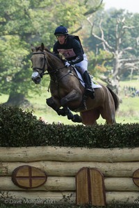 Oliver Townend riding SANDIMAN II at the CrossCountry App Query in the CCI3* Event at the 2015 Blenheim Palace International Horse Trials