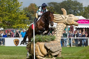 Kitty King riding CEYLOR L A N at the Ariat Dew Pond in the CCI3* Event at the 2015 Blenheim Palace International Horse Trials