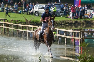 Tim Price riding THE COURT JESTER at the Anniversary Steps in the CCI3* Event at the 2015 Blenheim Palace International Horse Trials