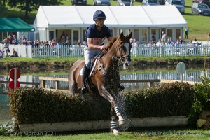 Tim Price riding THE COURT JESTER at the Anniversary Steps in the CCI3* Event at the 2015 Blenheim Palace International Horse Trials