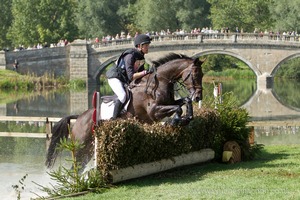 Nicholas Lucey riding PROUD COURAGE at the Anniversary Steps  in the CCI3* Event at the 2015 Blenheim Palace International Horse Trials