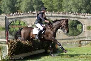 Nicholas Lucey riding PROUD COURAGE at the Anniversary Steps  in the CCI3* Event at the 2015 Blenheim Palace International Horse Trials