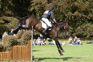 Nicholas Lucey riding PROUD COURAGE at the Anniversary Steps  in the CCI3* Event at the 2015 Blenheim Palace International Horse Trials