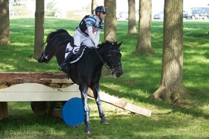 Andrew Hoy riding CHEEKY CALIMBO at The Initiative Challenge in the CCI3* Event at the 2015 Blenheim Palace International Horse Trials