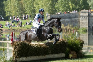 Andrew Hoy riding CHEEKY CALIMBO at the Anniversary Steps in the CCI3* Event at the 2015 Blenheim Palace International Horse Trials