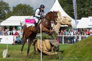 Bill Levett riding ALEXANDER NJ at the Ariat Dew Pond in the CCI3* Event at the 2015 Blenheim Palace International Horse Trials