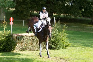 Sam Griffiths riding ISLE VALLEY at the Equitrek Endeavour in the CCI3* Event at the 2015 Blenheim Palace International Horse Trials