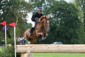 URMA BK and Andrew Nicholson (191) in the CCI3* Cross Country at Blenheim Palace International Horse Trials 2017