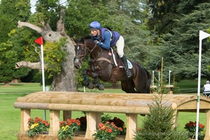 LAPDANCER and Andrew James (115) in the CCI3* Cross Country at Blenheim Palace International Horse Trials 2017