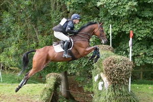 CRAMBAMBOLI and Anthony Clark (134) in the CCI3* Cross Country at Blenheim Palace International Horse Trials 2017