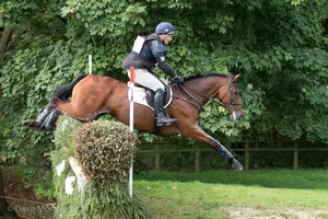 CRAMBAMBOLI and Anthony Clark (134) in the CCI3* Cross Country at Blenheim Palace International Horse Trials 2017
