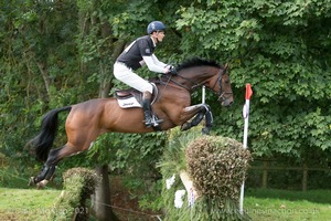 LITTLE FIRE and William Fox-Pitt (138) in the CCI3* Cross Country at Blenheim Palace International Horse Trials 2017