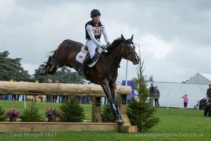 NOVEMBER NIGHT and Ciaran Glynn (141) in the CCI3* Cross Country at Blenheim Palace International Horse Trials 2017