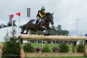MGH BINGO BOY and Nicky Hill (142) in the CCI3* Cross Country at Blenheim Palace International Horse Trials 2017