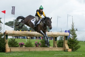 MGH BINGO BOY and Nicky Hill (142) in the CCI3* Cross Country at Blenheim Palace International Horse Trials 2017