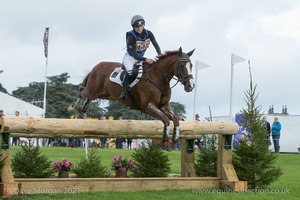 MISTRALOU and Lucienne Elms (143) in the CCI3* Cross Country at Blenheim Palace International Horse Trials 2017