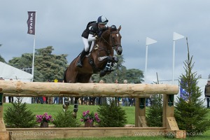 HANLEEN CROWN JEWELS and Ellen Cameron (145) in the CCI3* Cross Country at Blenheim Palace International Horse Trials 2017