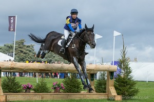CRAIGNURE and Zoe Wilkinson (146) in the CCI3* Cross Country at Blenheim Palace International Horse Trials 2017