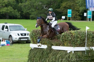 VIGANO LES HAUTS and Cl Ment Riguet (159) in the CCI3* Cross Country at Blenheim Palace International Horse Trials 2017