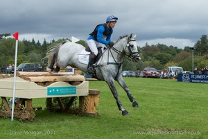 PSH PROMISE ME and Michael Jackson (164) in the CCI3* Cross Country at Blenheim Palace International Horse Trials 2017