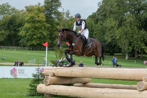 CHIPMUNK FRH and Julia Krajewski (189) in the CCI3* Cross Country at Blenheim Palace International Horse Trials 2017