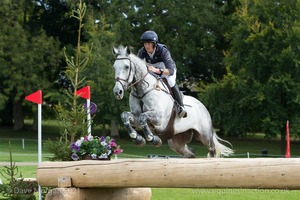 STRIKE SMARTLY and Tom McEwen (15) in the CCI3* Cross Country Event Rider Masters at Blenheim Palace International Horse Trials 2017