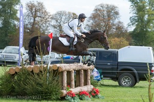SWING DE PERDRIAT and Sidney Dufresne (22) in the CCI3* Cross Country Event Rider Masters at Blenheim Palace International Horse Trials 2017