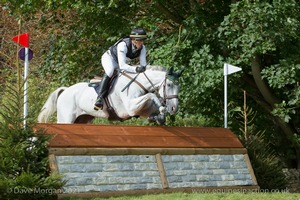 CORONEL MCJ and Marcio C Jorge (37) in the CCI3* Cross Country Event Rider Masters at Blenheim Palace International Horse Trials 2017