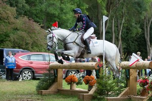 REHY TOO and Gina Ruck (48) in the CCI3* Cross Country Event Rider Masters at Blenheim Palace International Horse Trials 2017