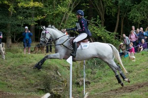 REHY TOO and Gina Ruck (48) in the CCI3* Cross Country Event Rider Masters at Blenheim Palace International Horse Trials 2017