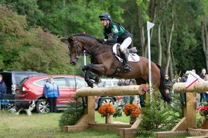 WALTHAM FIDDLERS FIND and Tom Jackson (32) in the CCI3* Cross Country Event Rider Masters at Blenheim Palace International Horse Trials 2017