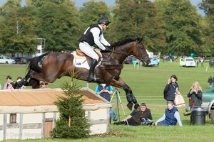 SHANNONDALE TITAN and Bill Levett (39) in the CCI3* Cross Country Event Rider Masters at Blenheim Palace International Horse Trials 2017