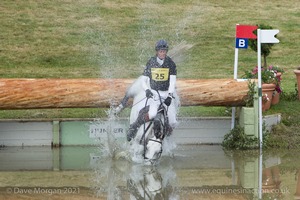 William Fox-Pitt riding DYNASTY comes to grief at the Hunter Field Water Complex (18A/B) - Gatcombe Festival of Eventing 2015