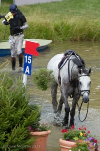 William Fox-Pitt and DYNASTY after coming to grief at the Hunter Field Water Complex (18A/B) - Gatcombe Festival of Eventing 2015