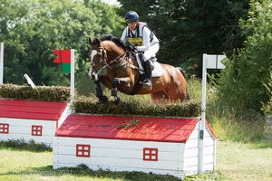 Kristina Cook riding DHI ZANCORGINO at Harrington&#x27;s Lane (9A/B) - Gatcombe Festival of Eventing 2015