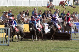 The finish of the Shetland Pony Grand National - Gatcombe Festival of Eventing 2015