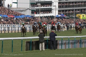 The Cheltenham Festival 2008, Champion Hurdle Day - 11th March