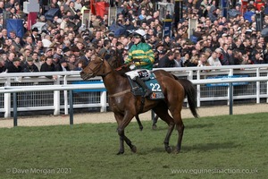 The Cheltenham Festival 2008, Champion Hurdle Day - 11th March